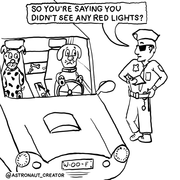Dogs in traffic