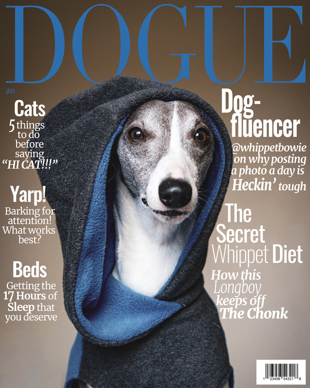 Dogue Magazine