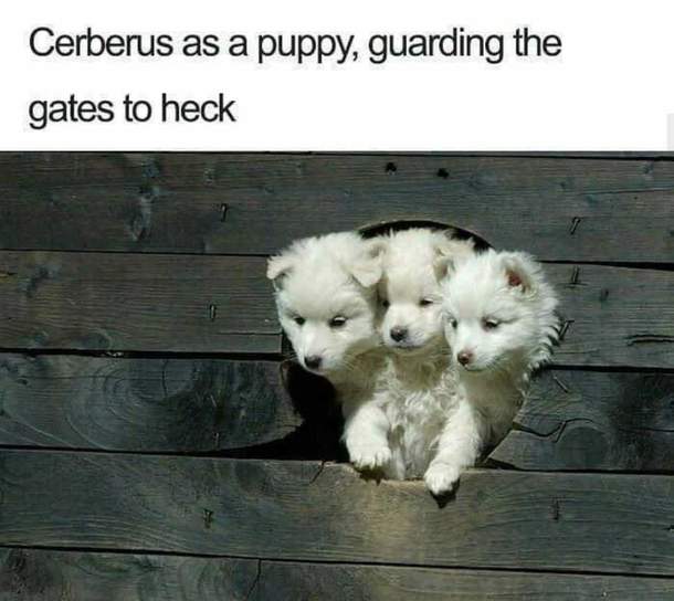 Doin a good guard