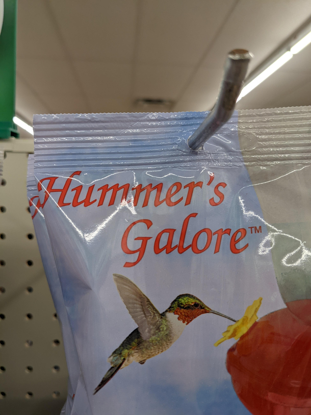 Dollar store hummers