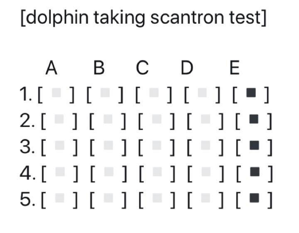 Dolphin scantron