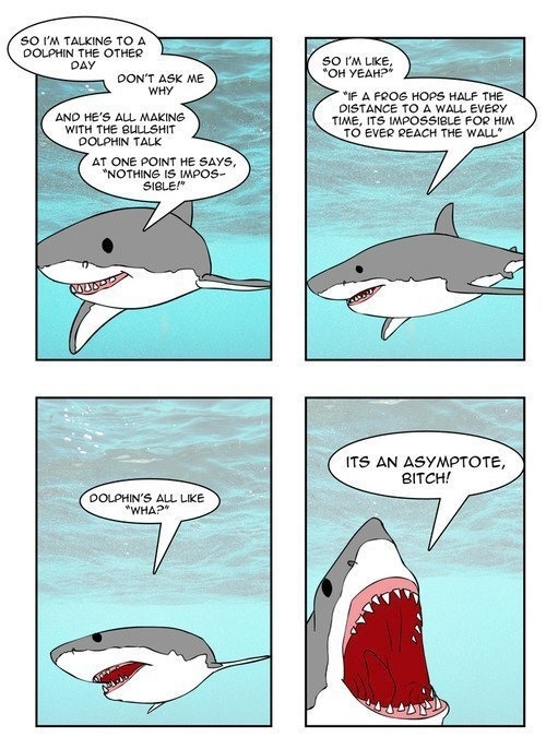 Dolphins Cant Compete With Sharks