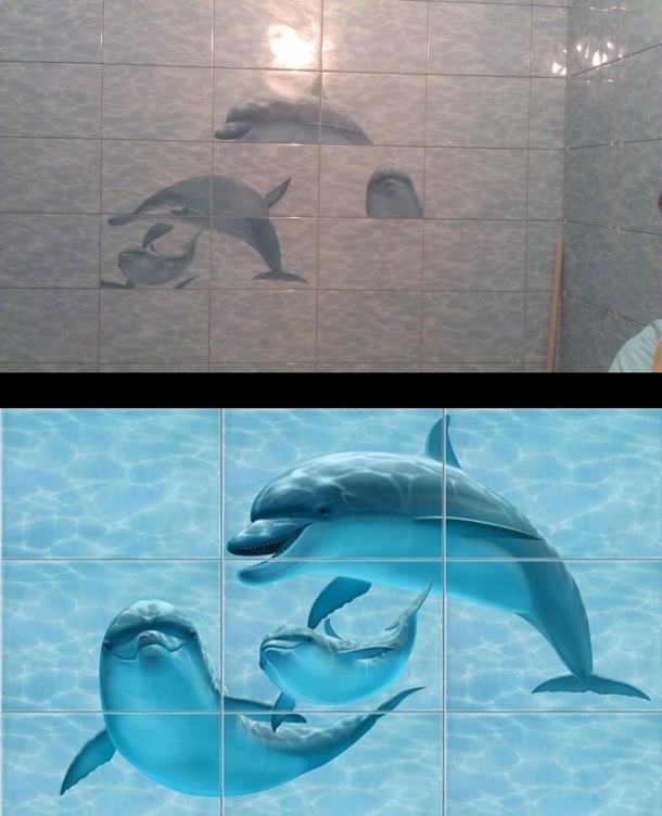 Dolphins puzzle x