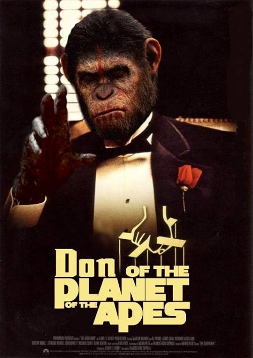 Don of the Planet of the Apes - Meme Guy