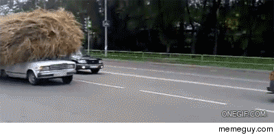 Donald Trump out for a drive