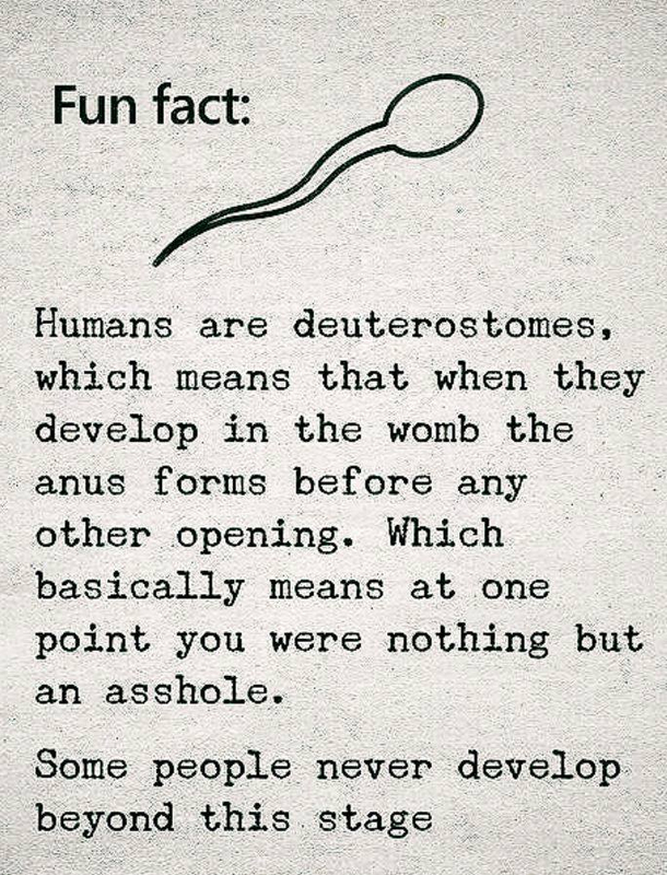 Dont be an asshole