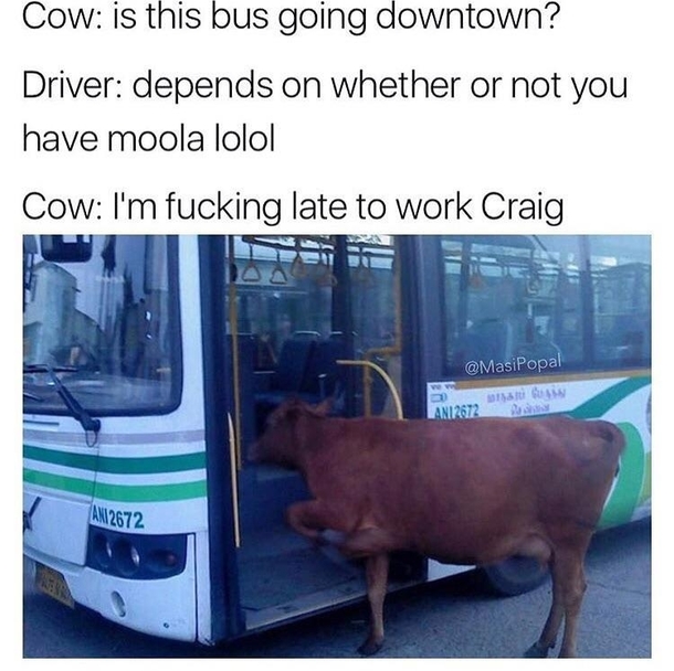 Dont be an asshole Craig