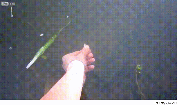 Dont drop the bass