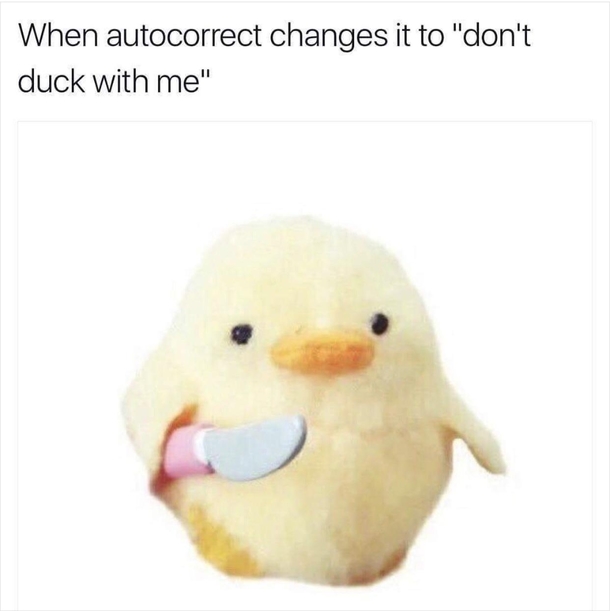 Dont duck with me