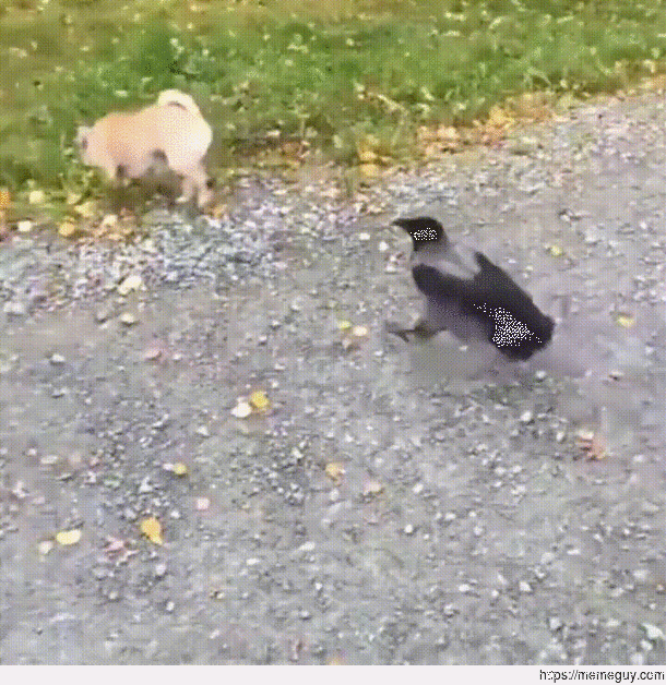 Dont Eat My Butt