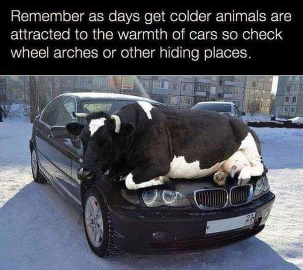 Dont forget to check your car thoroughly