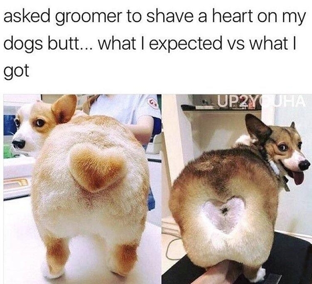 Dont forget to tip your dog groomer