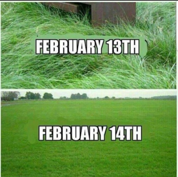 Dont forget your lawn today