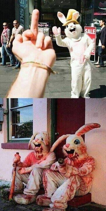 Dont fuck with the bunnies