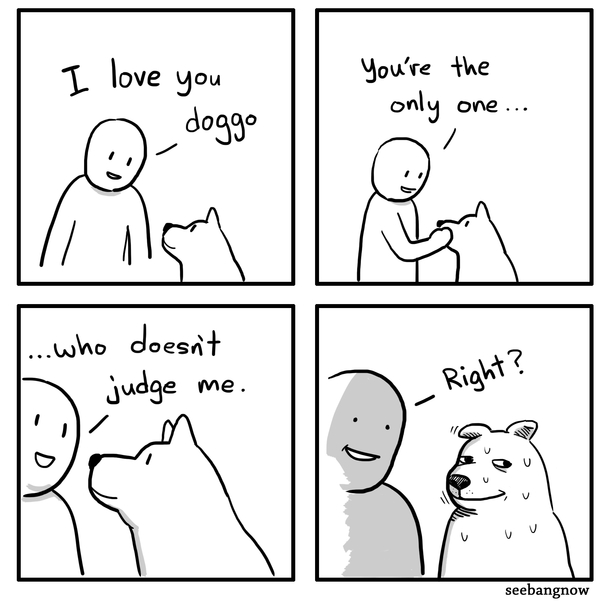 Dont Judge