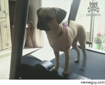 Dont judge me its back leg day