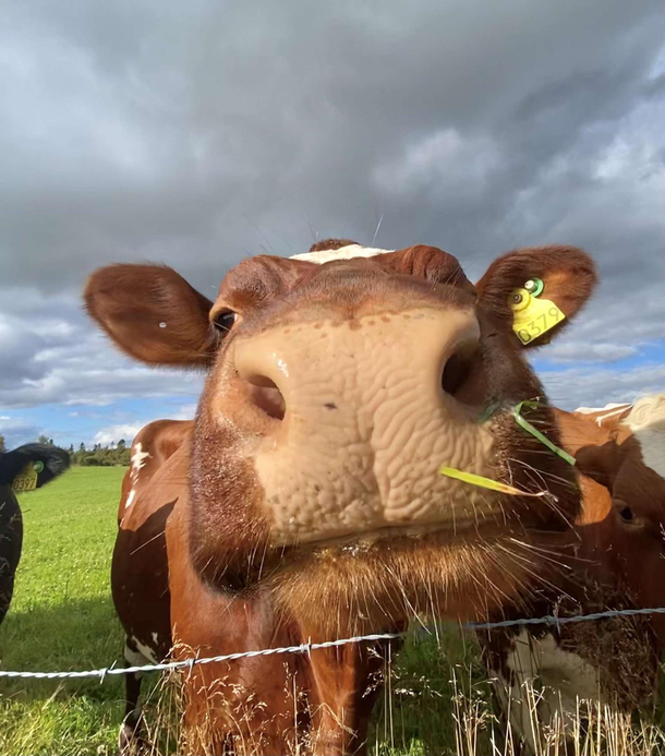 Dont know if its funny But I met him today and thought he was QT Might delete later idk