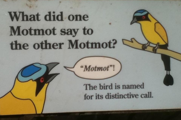 Dont know why I thought this was so funny