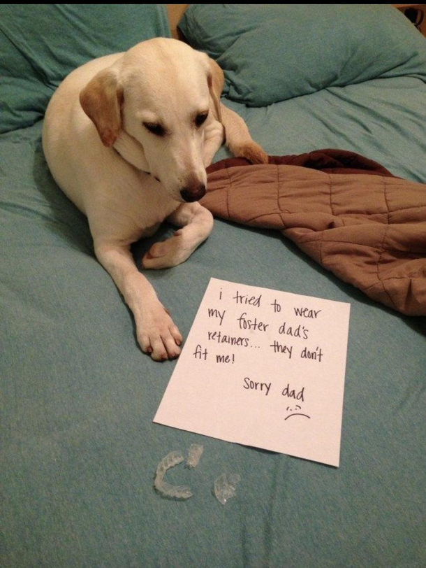 Dont leave your retainer out