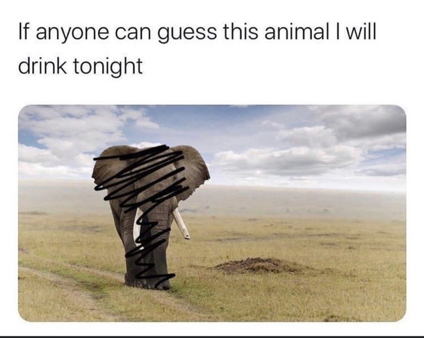Dont let me down guys