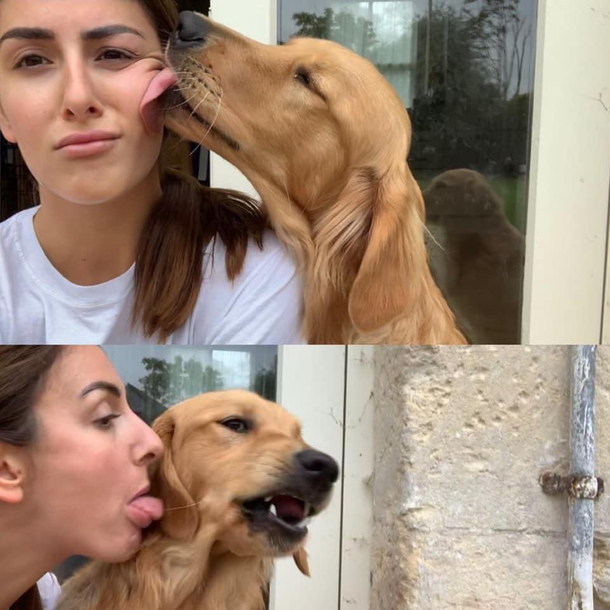 Dont lick me human