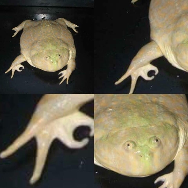DONT LOOK