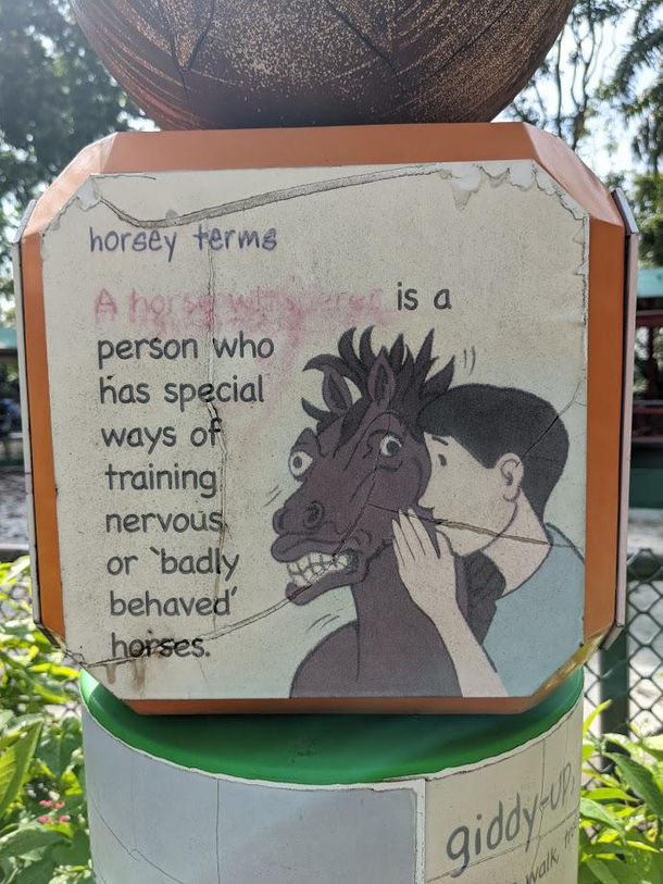 Dont make me turn you into glue Seabiscuit