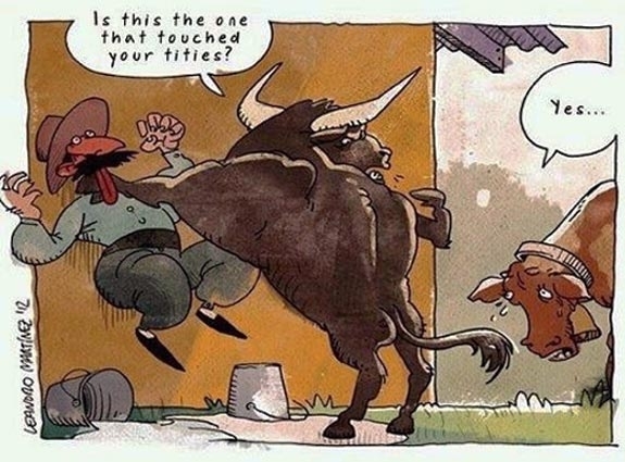 Dont mess with the bull