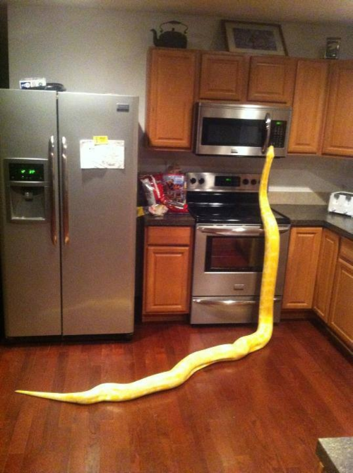 Dont mind me Im just making some hot pockets