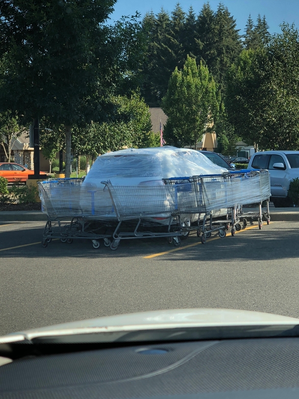 Dont piss off the Cart Wranglers