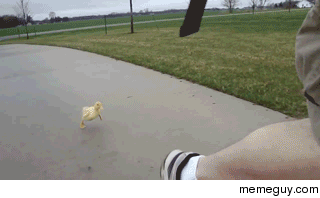 DONT RUN FROM MY LOVE