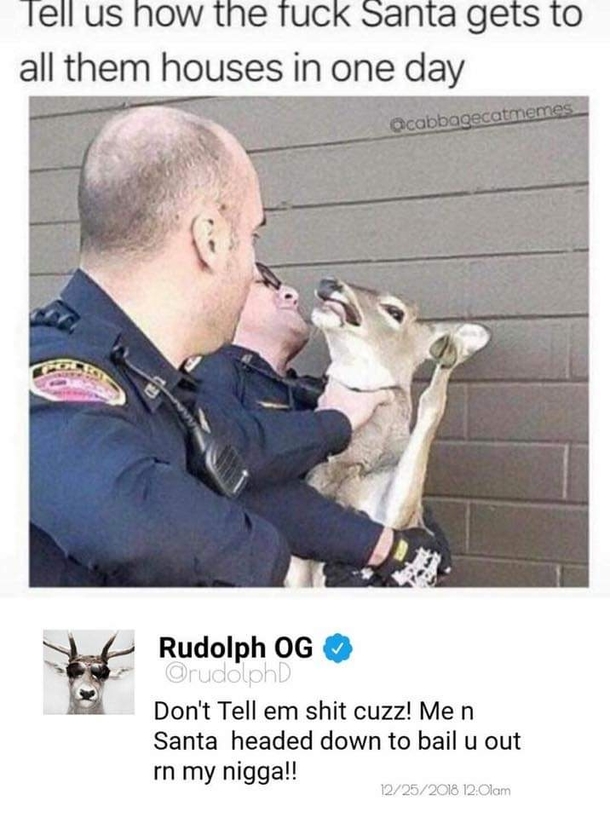 Dont say shit