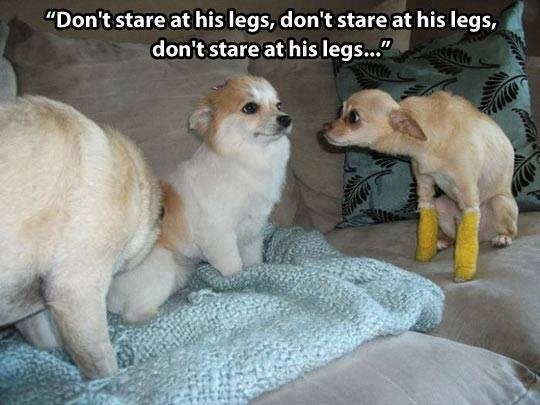 Dont stare