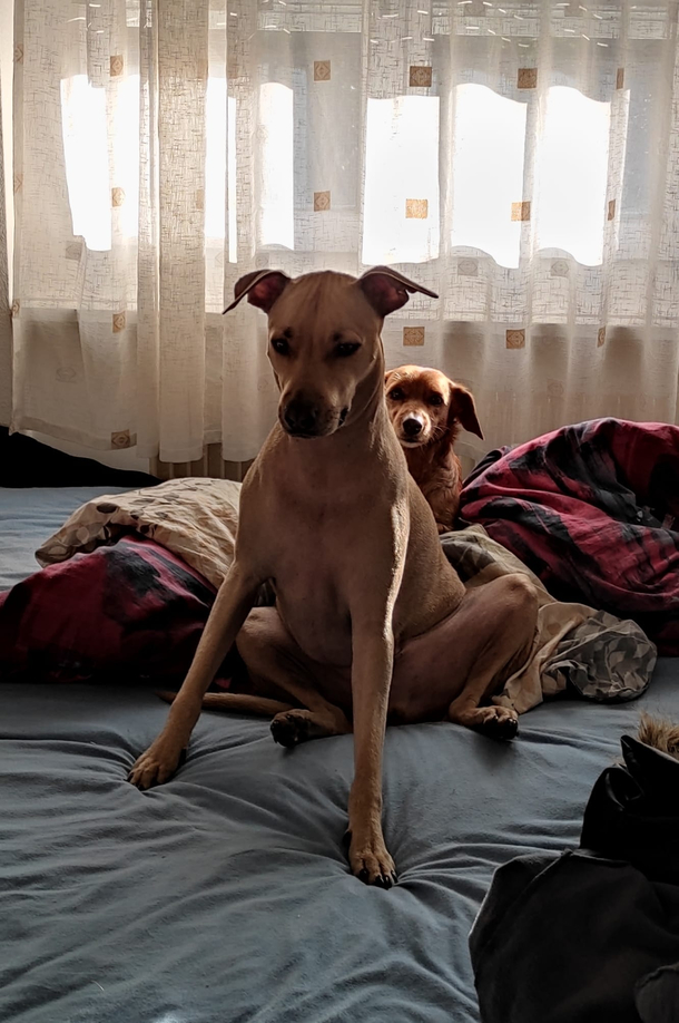 Dont talk to me or my son ever again