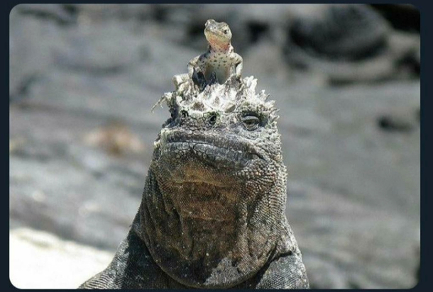 Dont talk to me or my son ever again