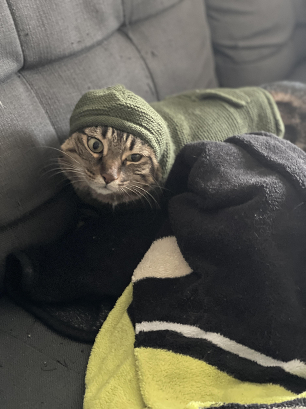 Dont Think She Likes Her Sweater