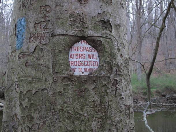 Dont trespass on nature Nature wins in the end