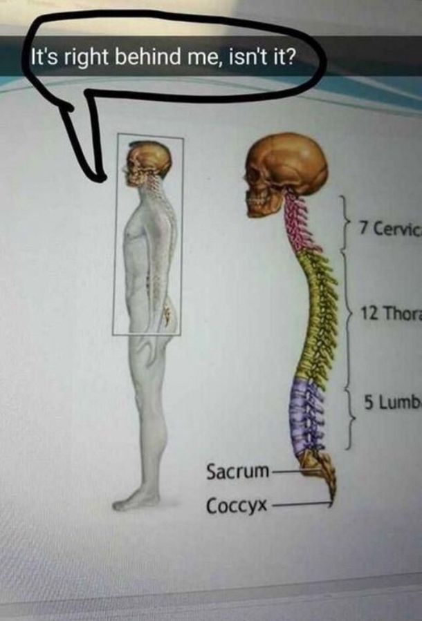 Dont turn around