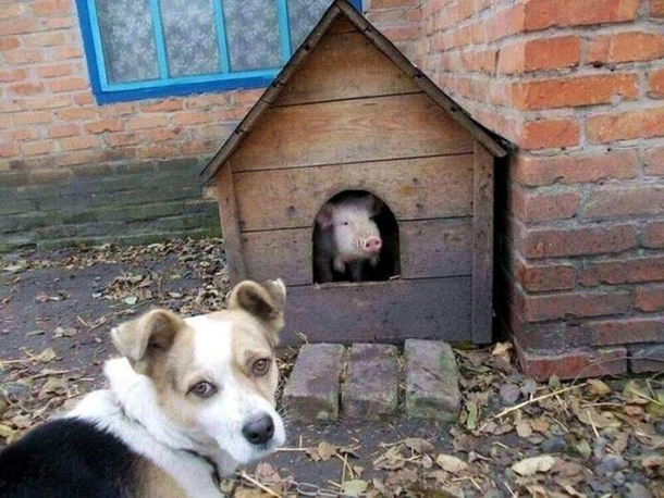 Dont understand what you are doing here