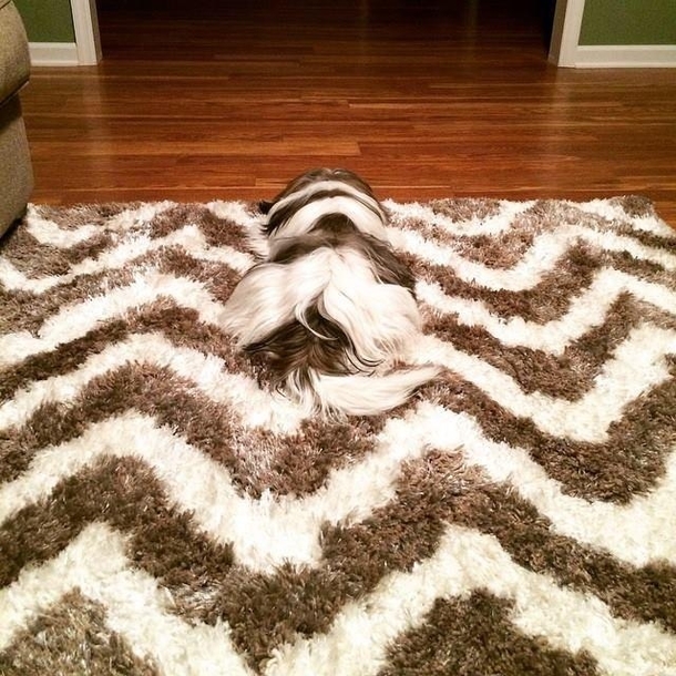 Dont walk on it