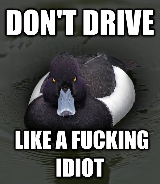 Dont want to end up in a ditch in winter