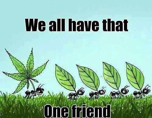 dont we all
