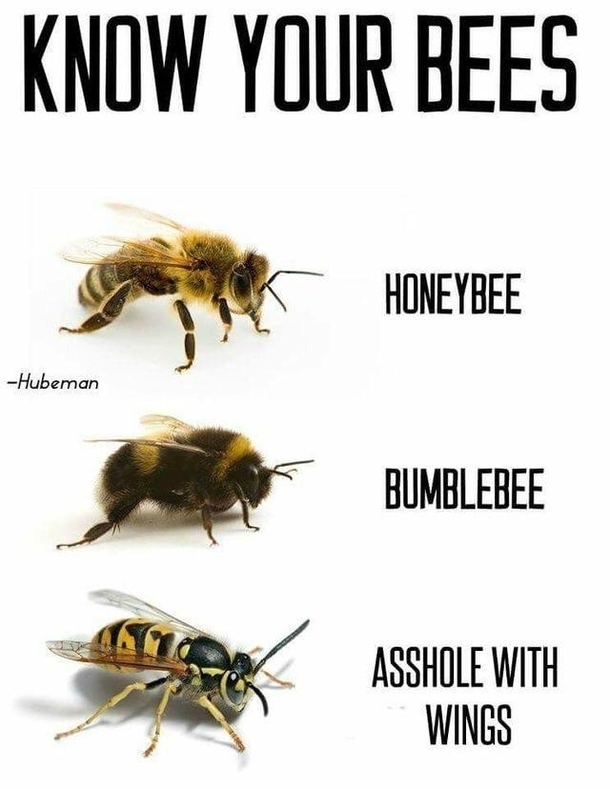 Dont we all hate that last one