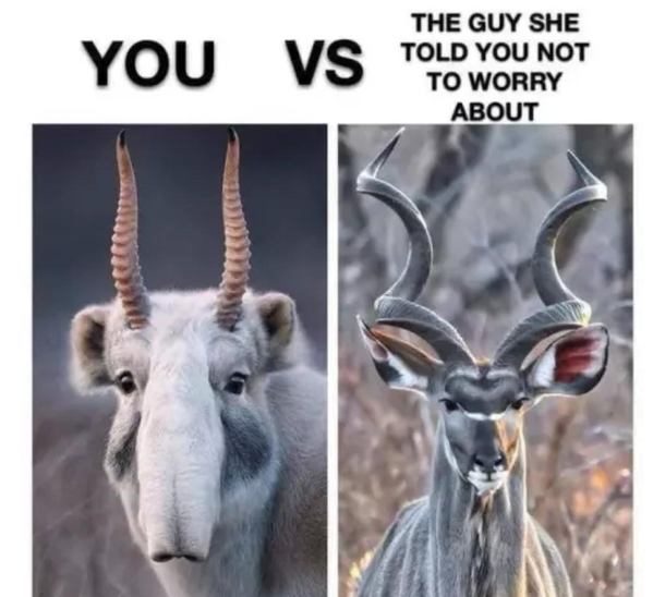 Dont worry about him