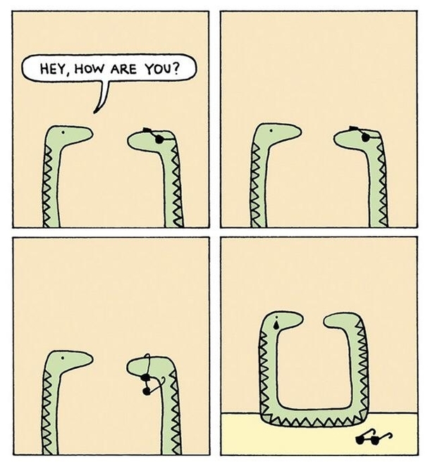 Dont worry snake well get you some friends