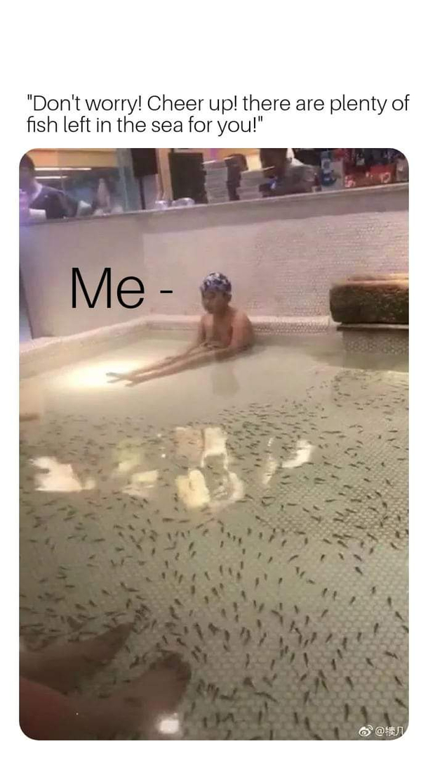 Dont worry theres plenty of fish in the sea - Meme Guy