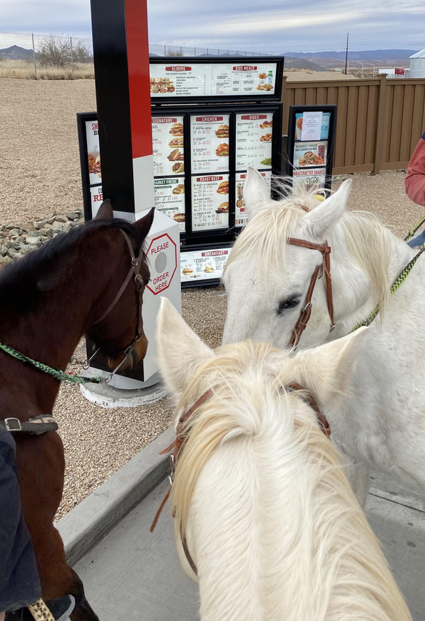 Dont you hate when the people in front of you are horsing around instead of ordering