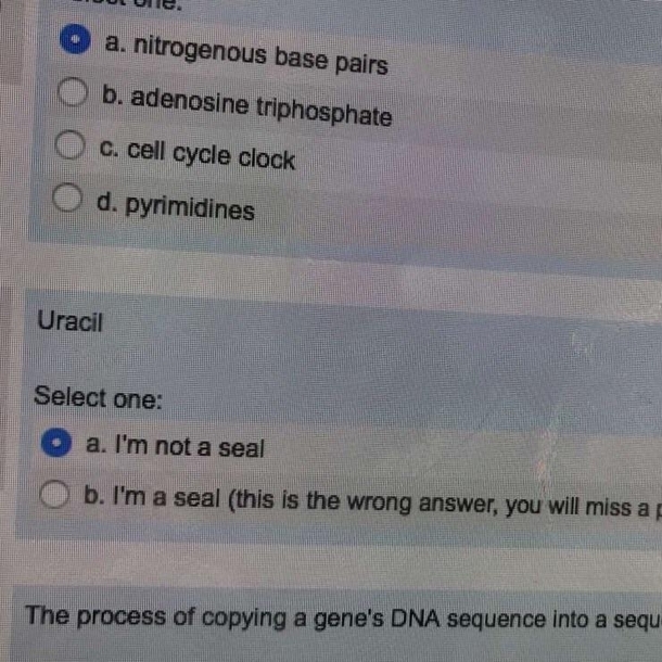 Dont you just love standardized testing