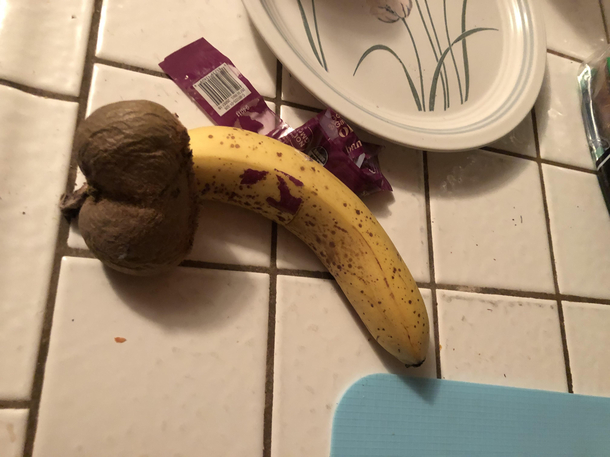 Double Kiwi Banana for Scale