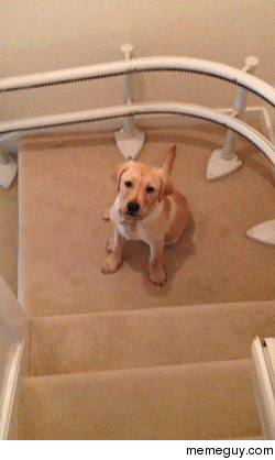 Down the stairs